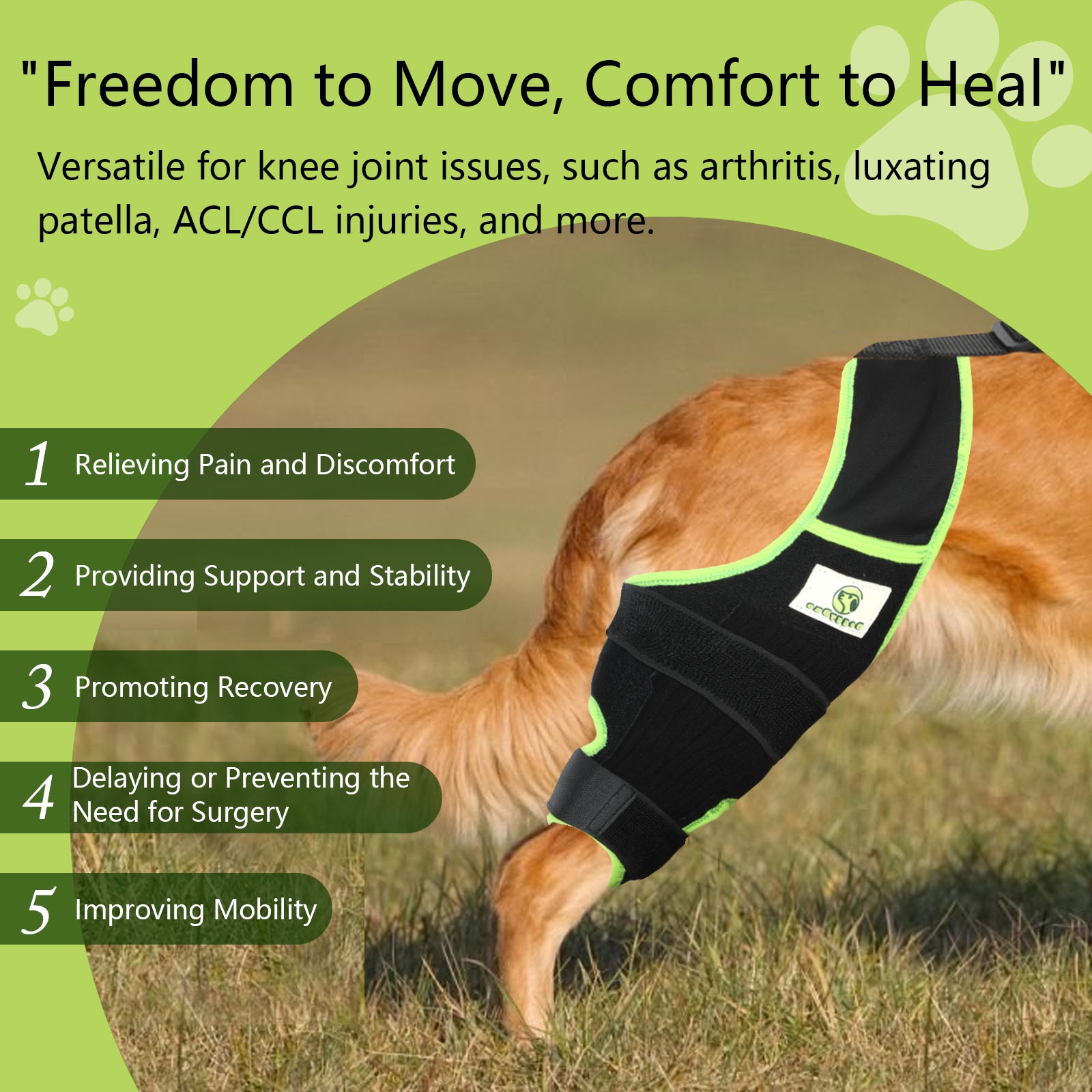 Dog Knee Brace 1